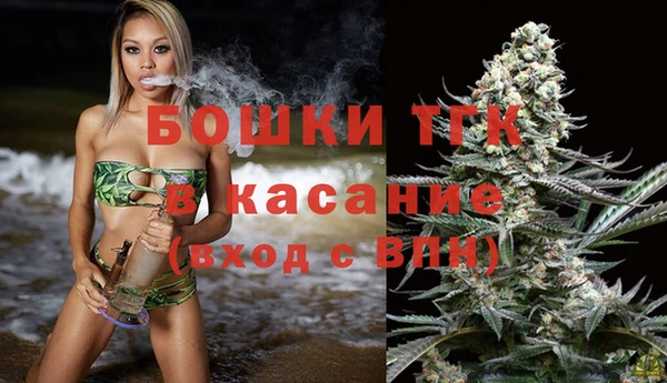 хмурый Гусев