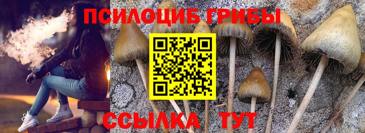 Псилоцибиновые грибы мухоморы  Вход с VPN  Можайск 